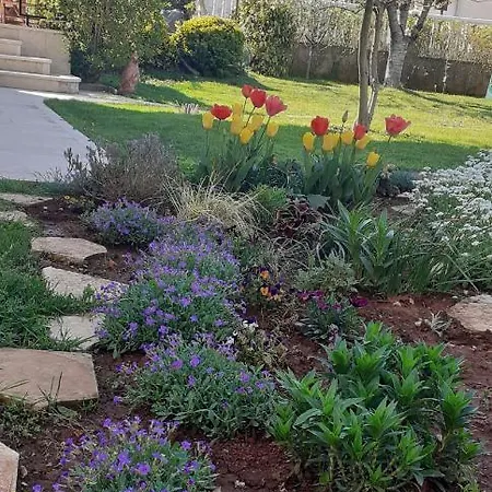 Adriatic Nada Fažana